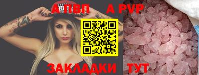 мет Кингисепп