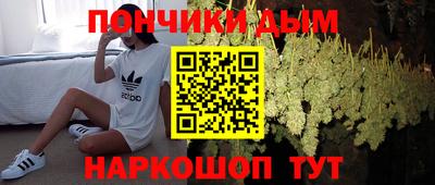 индика Кинель