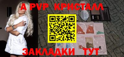 мет Кингисепп