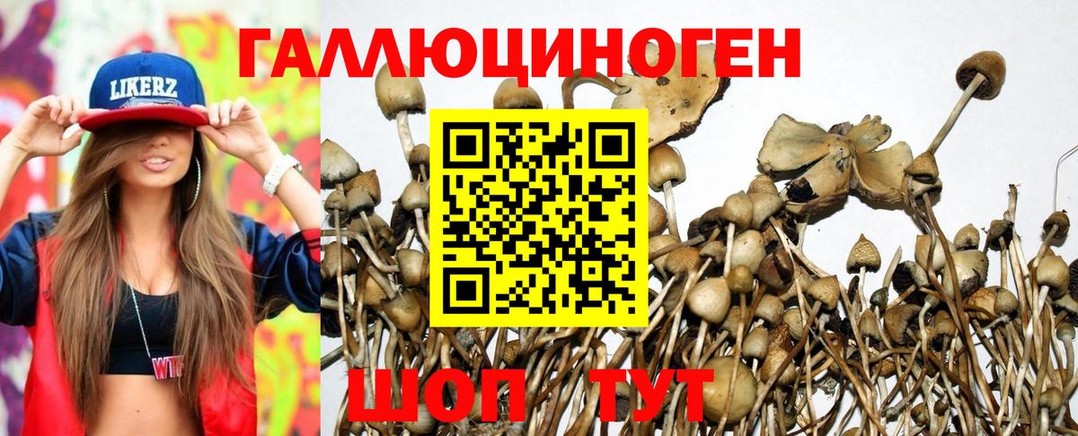 Псилоцибиновые грибы GOLDEN TEACHER Красноуфимск